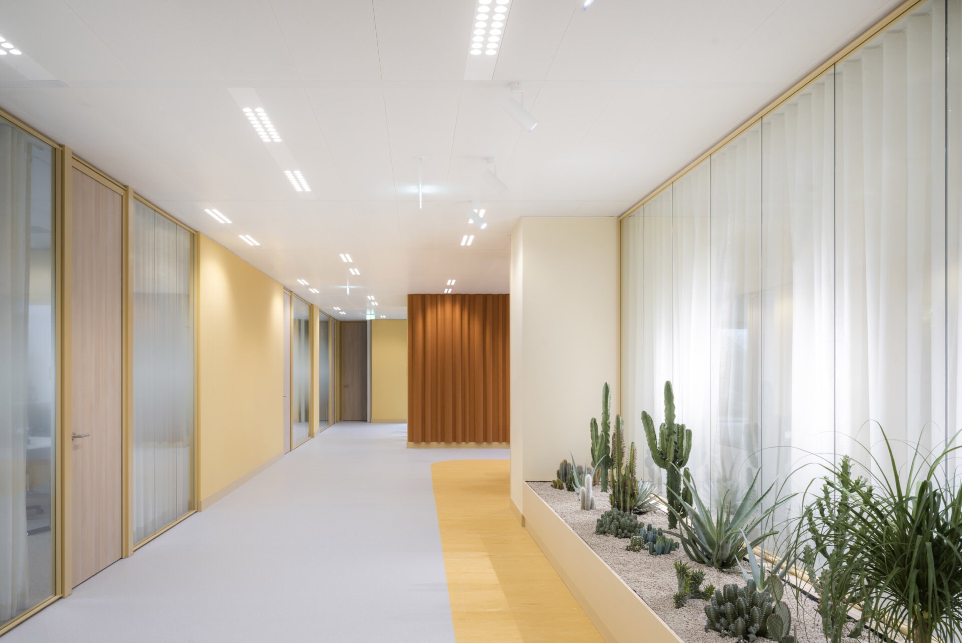 JetBrains | Amsterdam