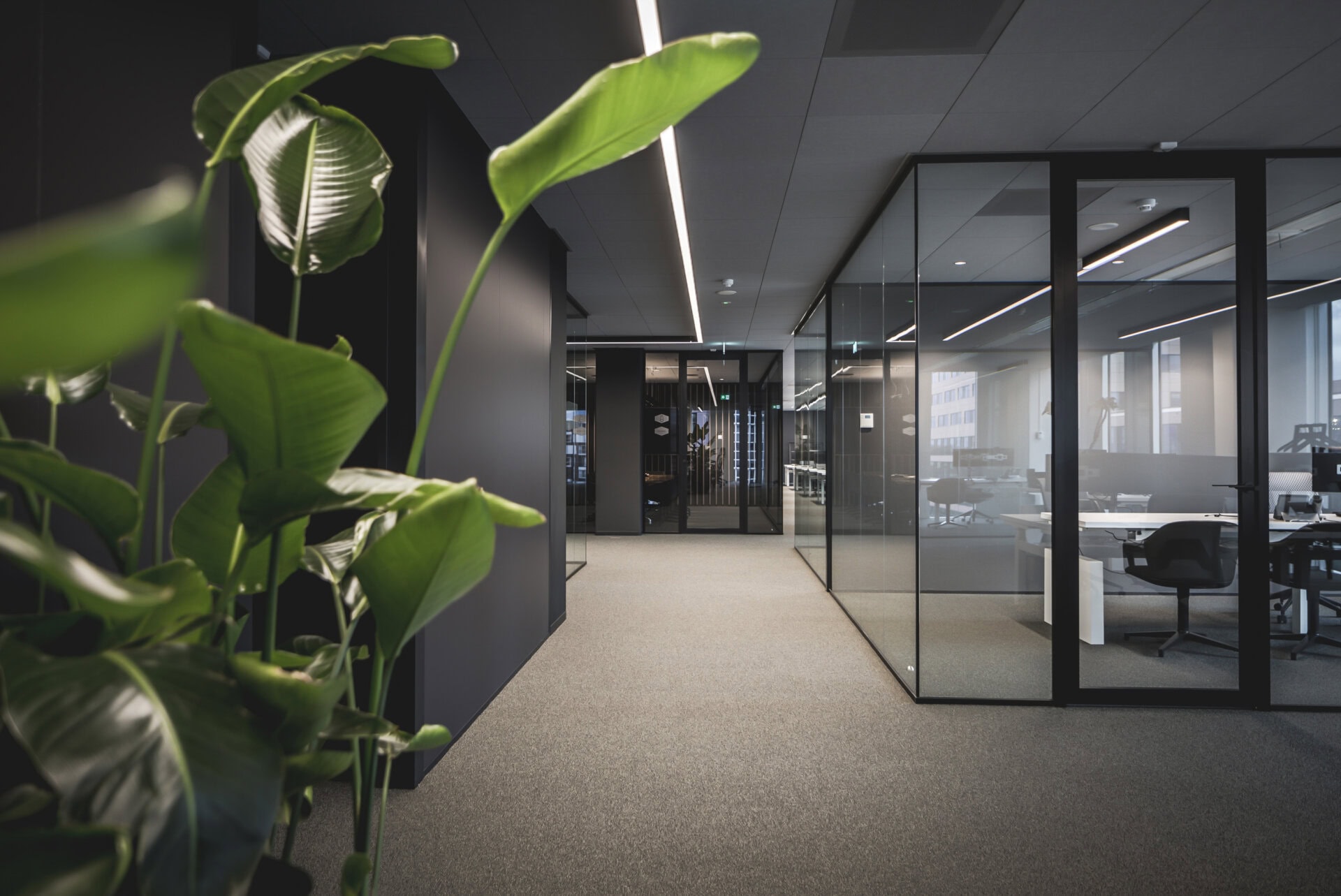 Kantoor Datacenter | Amsterdam